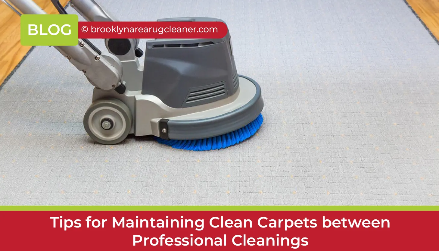 carpet cleaning in brooklyn, carpet cleaning in new york, carpet cleaning brooklyn, carpet cleaners in brooklyn, carpet cleaners in new york, commercial carpet cleaning, commercial carpet cleaning in brooklyn, brooklyn rug cleaners, rug cleaning services in brooklyn, same day carpet cleaning, same day rug cleaning