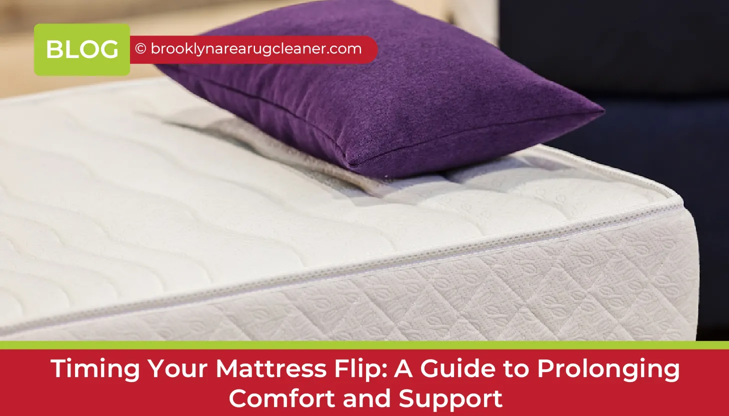 carpet cleaning in brooklyn, carpet cleaning in new york, carpet cleaning brooklyn, carpet cleaners in brooklyn, carpet cleaners in new york, commercial carpet cleaning, commercial carpet cleaning in brooklyn, brooklyn rug cleaners, rug cleaning services in brooklyn, same day carpet cleaning, same day rug cleaning