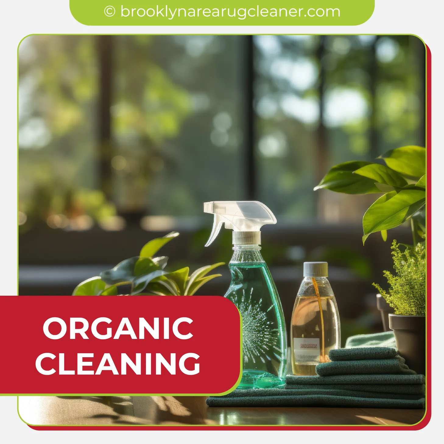 carpet cleaning in brooklyn, carpet cleaning in new york, carpet cleaning brooklyn, carpet cleaners in brooklyn, carpet cleaners in new york, commercial carpet cleaning, commercial carpet cleaning in brooklyn, brooklyn rug cleaners, rug cleaning services in brooklyn, same day carpet cleaning, same day rug cleaning